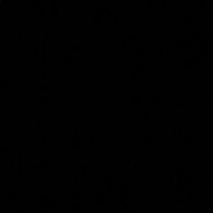 Meet your Posher, Priscilla